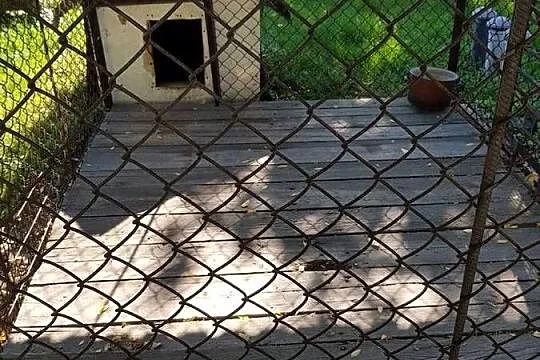 Kojec, buda dla psa, Mazowieckie, Garwolin