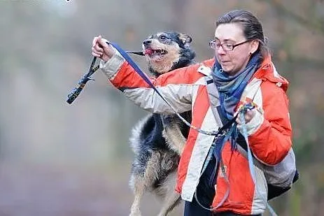 Foksiu ciągle czeka w schronowym boksie!,  mazowie