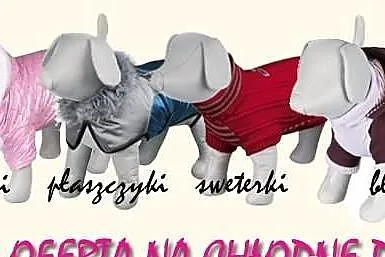 Sklep internetowy dla TWOJEGO PSA - ZAPRASZAMY