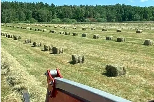 Siano w małej kostce, Zachodniopomorskie, Świerzno