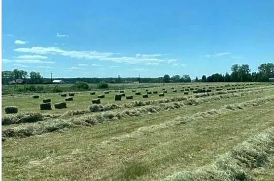 Siano w małej kostce, Zachodniopomorskie, Świerzno