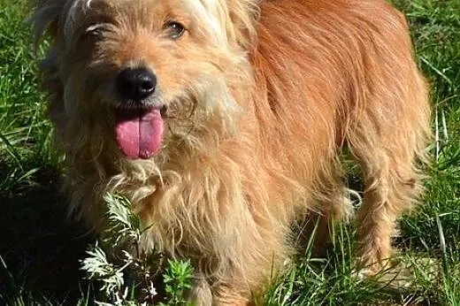 Lola i Fabio - chciałyby zostać razem...,  warmińs