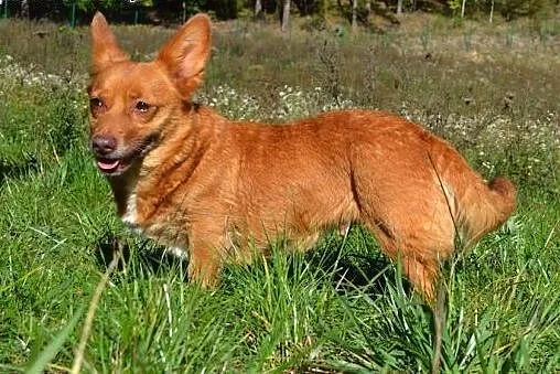 Lola i Fabio - chciałyby zostać razem...,  warmińs