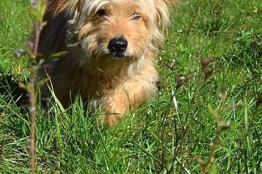 Lola i Fabio - chciałyby zostać razem...,  warmińs