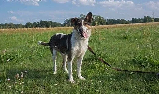 Młody Killer przeszedł piekło, nadal jest w stanie