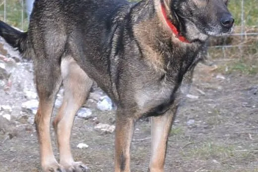 Sonię odebraliśmy menelom, którzy się nad nią znęc