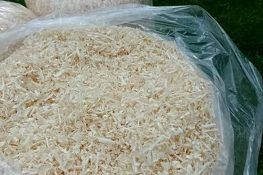 Trociny dla gryzoni OD STOLARZA 40L suche odpylone trocina worek do kurnika, Małopolskie, Andrychów