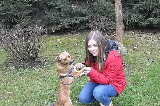 Fiona szuka nowego właściciela