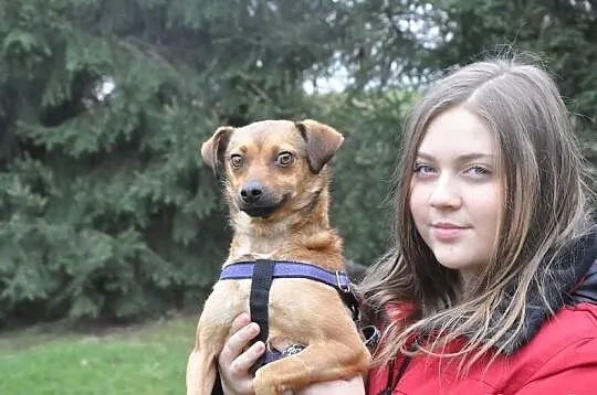 Fiona szuka nowego właściciela