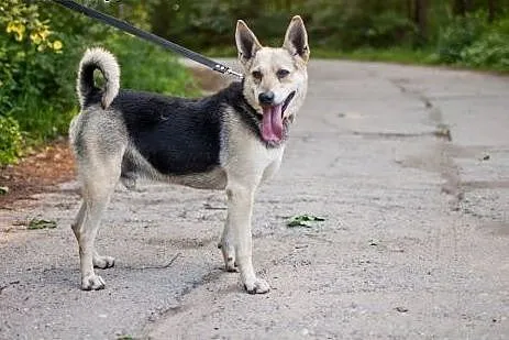 Chudy, który stracił przyjaciela... pokochasz?,  w