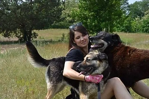Uroczy CEZAR - czy doczeka się domu? ,  małopolski