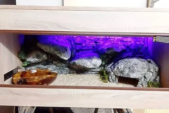 Terrarium od Egzo Systems dla gekona lamparciego agamy brodatej