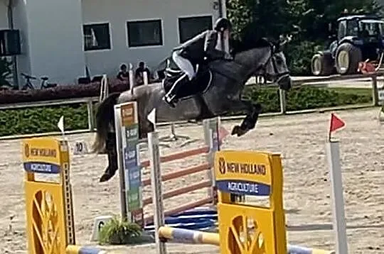 5 letnia przyszłościowa klacz, , 