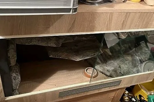 TERRARIUM 120x50x60 Agama Gekon Wąż Pyton