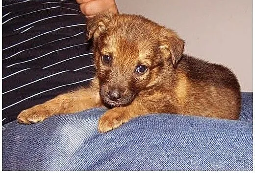 KOMU?! KOMU?! 8 tyg HAYDE CHCE DO DOMU!!!, mazowi