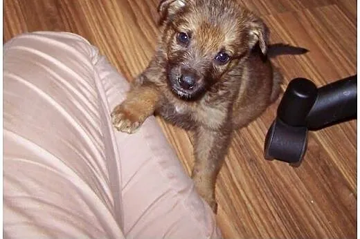 KOMU?! KOMU?! 8 tyg HAYDE CHCE DO DOMU!!!,  mazowi