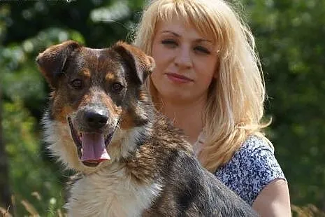 Kumpel duży łagodny psiak szuka domku!,  Kundelki 