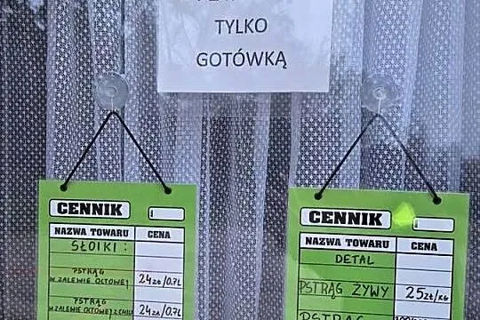 Pstrag tęczowy, Wielkopolskie, Wąsosze