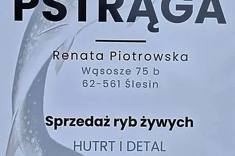 Pstrag tęczowy, Wielkopolskie, Wąsosze