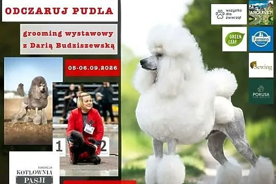 Szkolenia dla GROOMERÓW