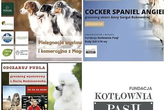 Szkolenia dla GROOMERÓW, Mazowieckie, Duży Dół