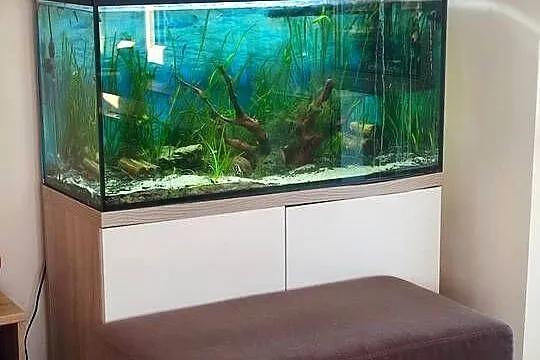 Akwarium 200l