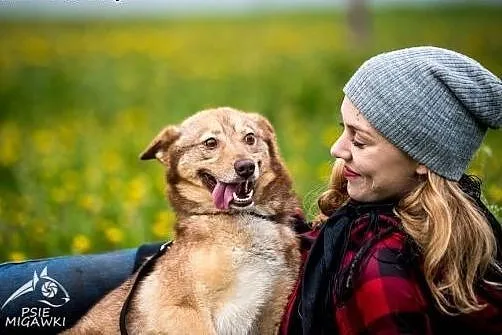 NOVA - pokochaj psa, co w sercu przyjaźń dla Ciebi