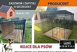 BB158 Kojec dla Psa 2x2 , Kojce | DOWOLNE WYMARY | DLA PSA | - ESSTAL