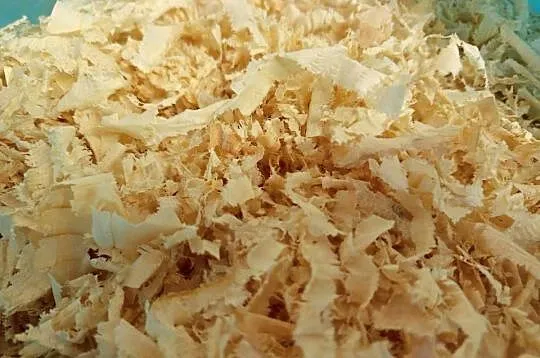 Wióra, wiórka świerkowe - suche. Worek 240l, Małopolskie, Skomielna Czarna