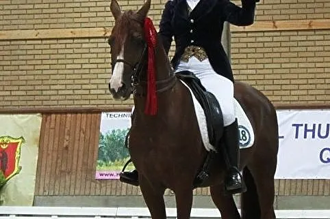 Stanówka- Wybitny Ogier arabski, Książenice