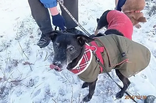 Spójrz w moje oczy i powiedz że nie jestem za star