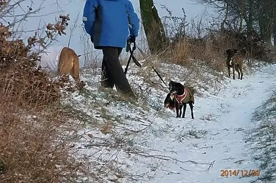 Spójrz w moje oczy i powiedz że nie jestem za star