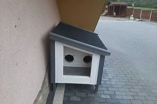 Buda dla kota, Małopolskie, Jordanów