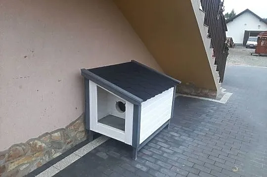 Buda dla kota, Małopolskie, Jordanów