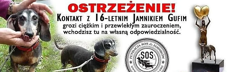 Ostrzeżenie ! Kontakt z 16-letnim jamnisiem Gufim