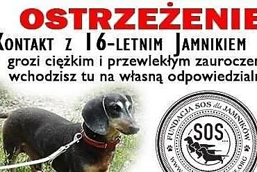 Ostrzeżenie ! Kontakt z 16-letnim jamnisiem Gufim 