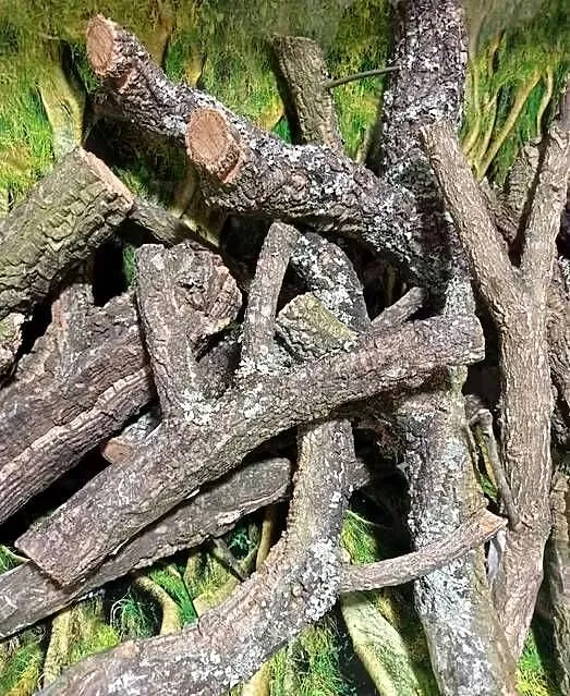 Gałęzie korkowe do terrarium różne kształty i rozmiary, Wielkopolskie, Ostrów Wielkopolski