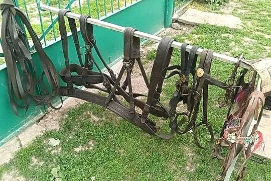 Sprzedam dwa zaprzęgi..