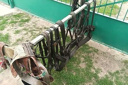 Sprzedam dwa zaprzęgi.., Lubelskie, Werbkowice