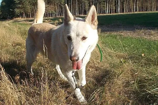 Bezgranicznie zakochana w człowieku Luna OWCZAREK 