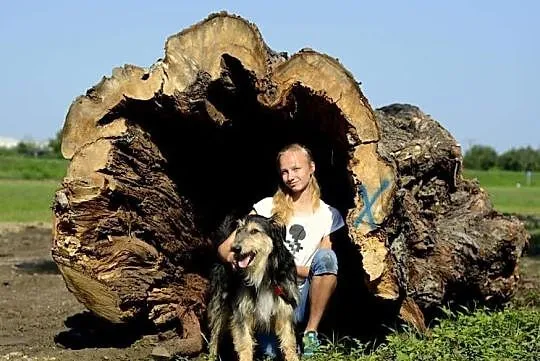 Cudny Bolesław szuka domu, Podkarpackie, Stalowa Wola