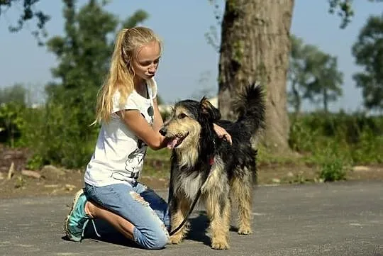 Cudny Bolesław szuka domu, Podkarpackie, Stalowa Wola