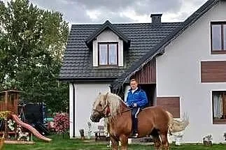 Konie zimnokrwiste