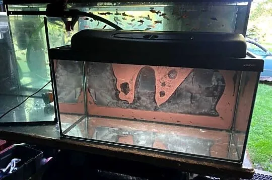 Akwarium ,pokrywa z oświetleniem 60x30x30 54 L