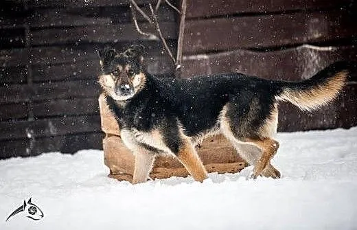 Leo zasługuje na najlepsze, zasługuje na Ciebie:)
