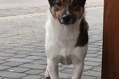 Młody i sliczny BONBON