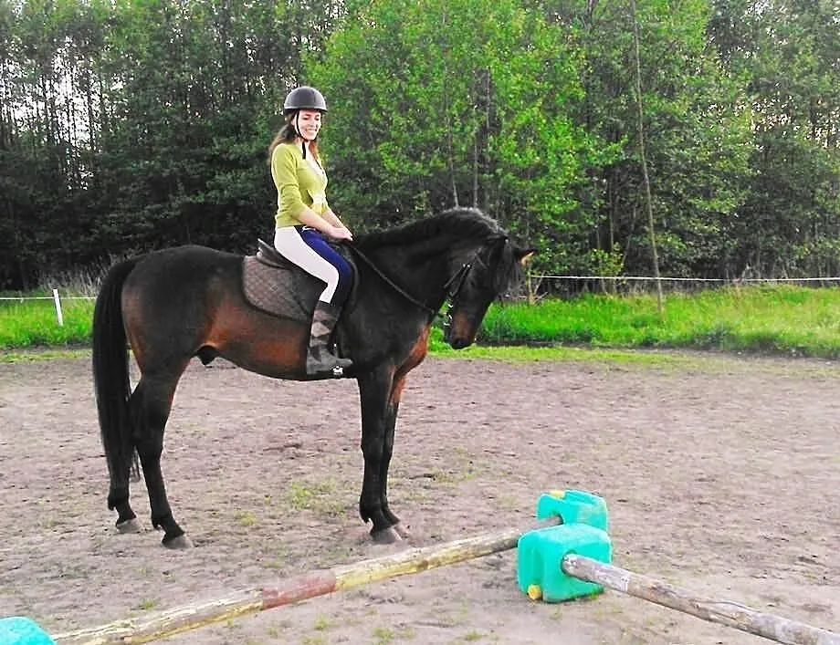 Sprzedam wałacha! Mondeo :) Zapraszam :)