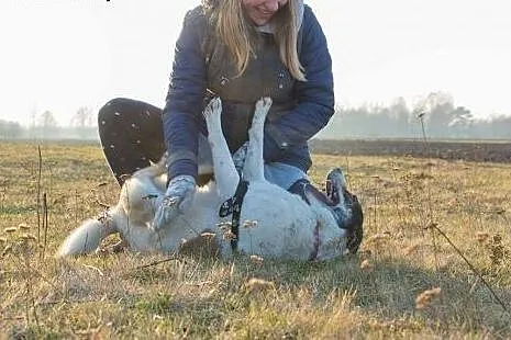 Miłość, młodość i szaleństwo - Kimi, idealna suczk