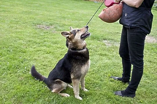 Rita, Łódzkie, Łódź
