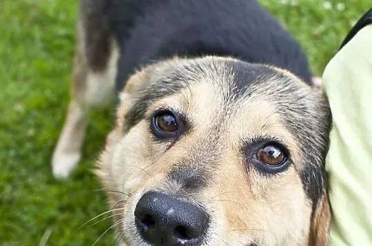 Rita, Łódzkie, Łódź